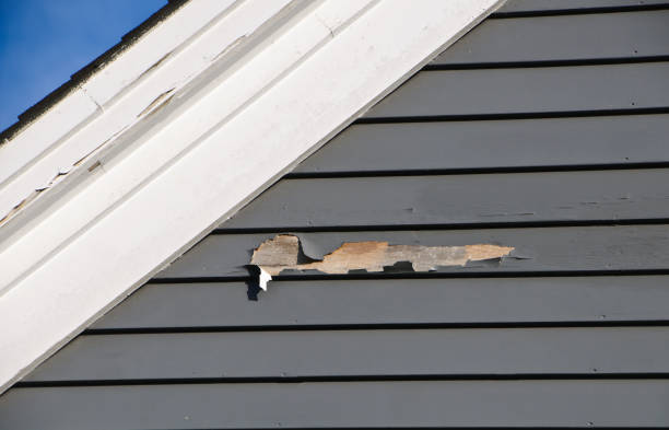 Best Siding for New Construction  in Dooms, VA